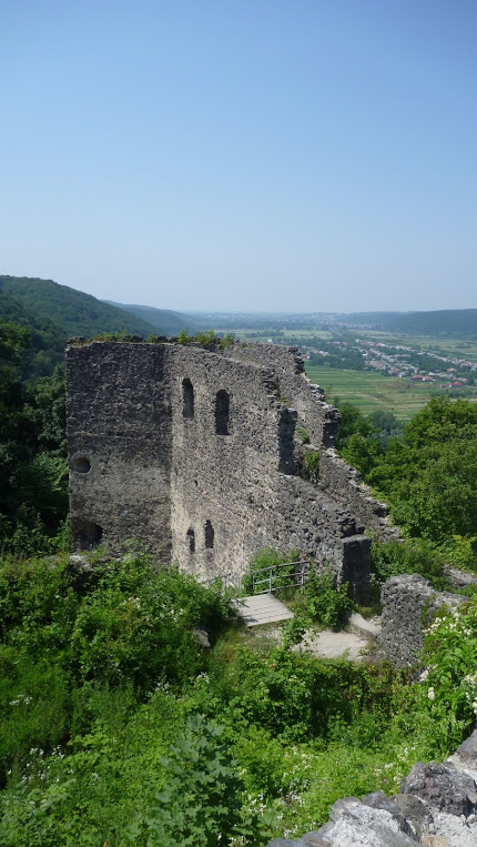 вежа Невицького замку
